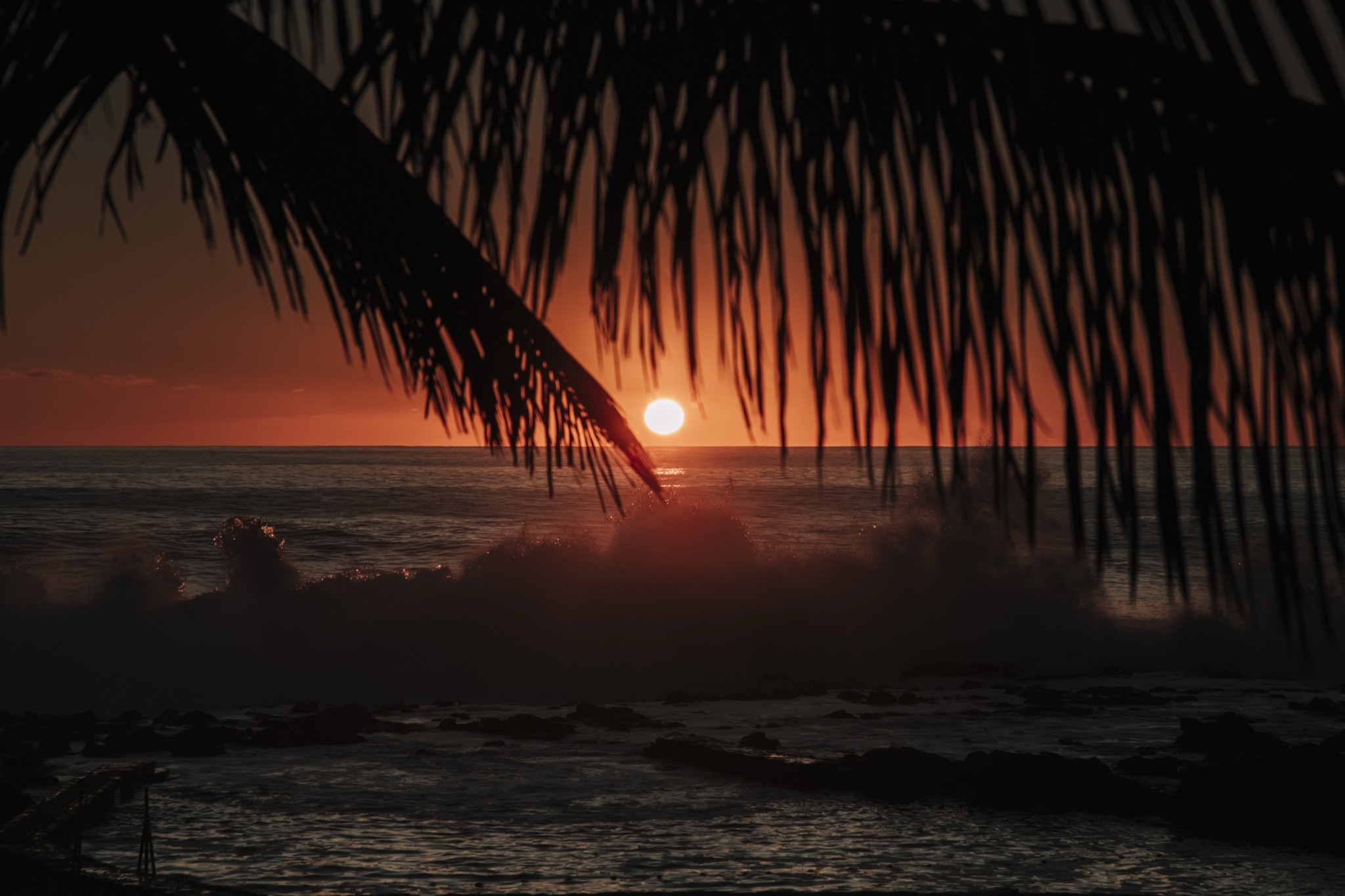 La photo montre une silhouette de palmier au premier plan, avec le soleil couchant juste à l’horizon derrière lui, projetant une lumière orangée sur l